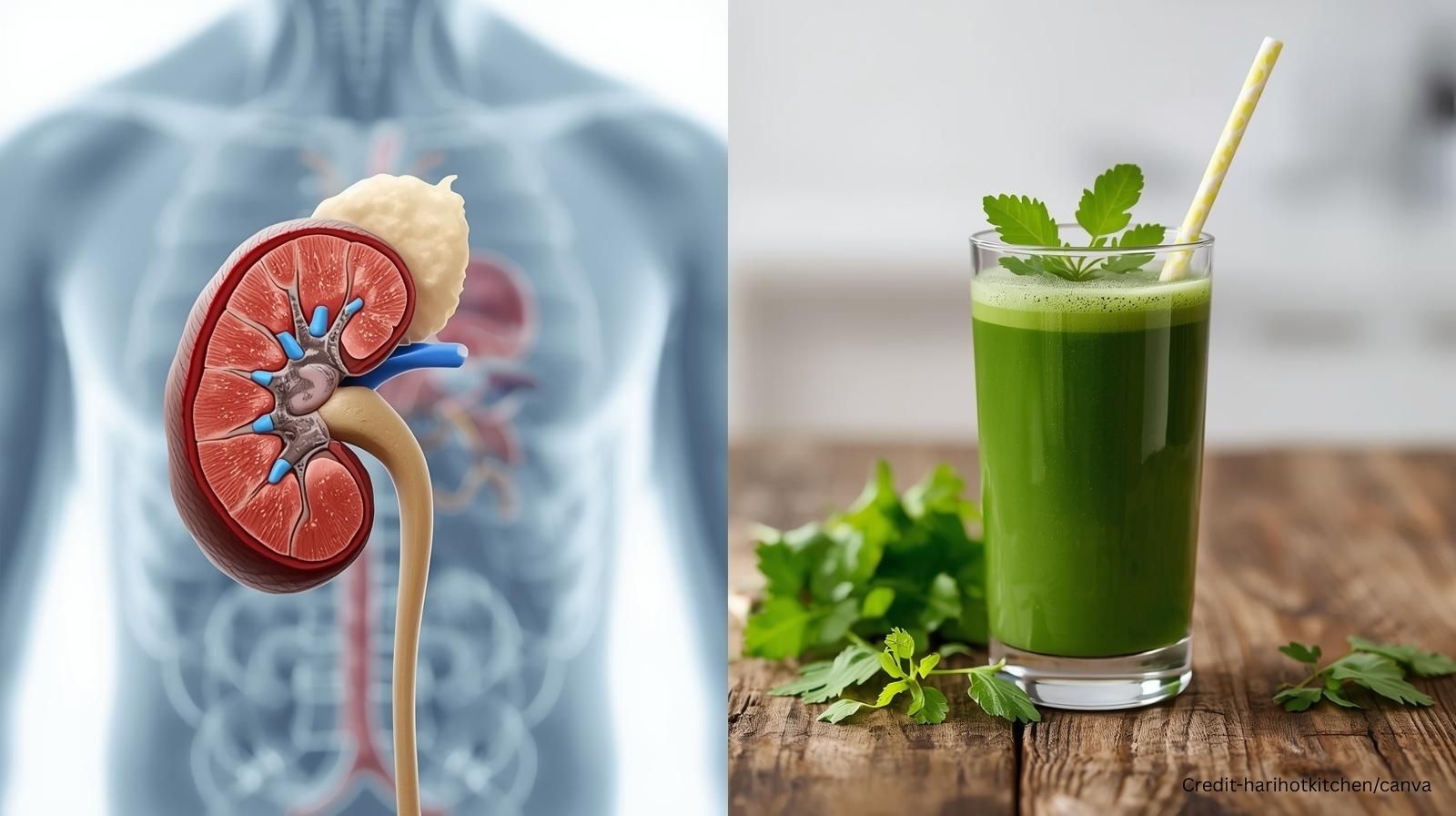 क्या आपकी किडनी सुरक्षित है? जानिए 5 ड्रिंक जो किडनी को नुकसान से बचाते हैं